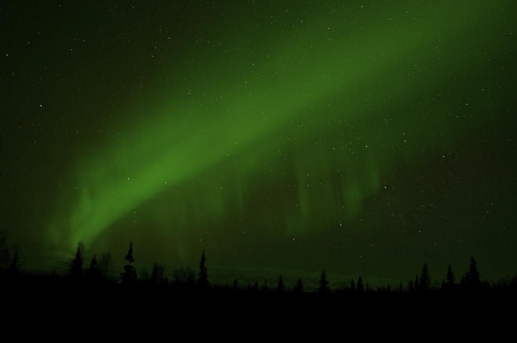 Grace And Bill'S Freedom Hills B&B Talkeetna Esterno foto
