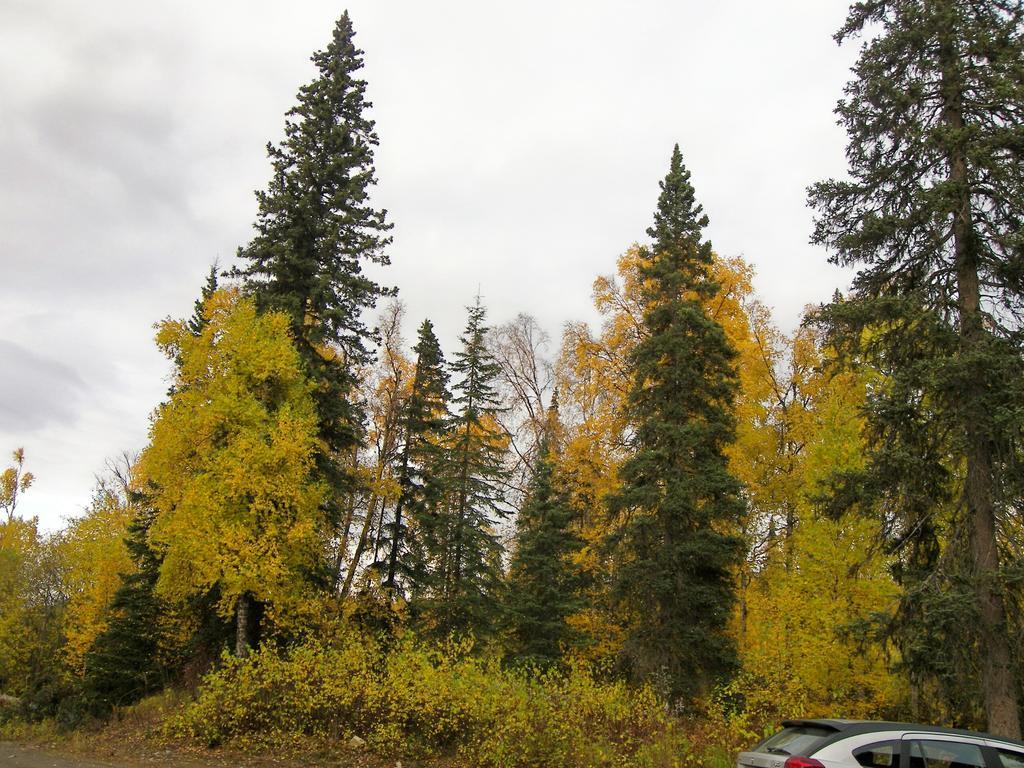 Grace And Bill'S Freedom Hills B&B Talkeetna Esterno foto