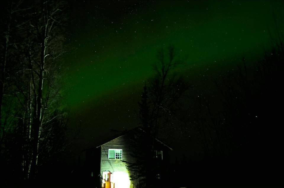 Grace And Bill'S Freedom Hills B&B Talkeetna Esterno foto