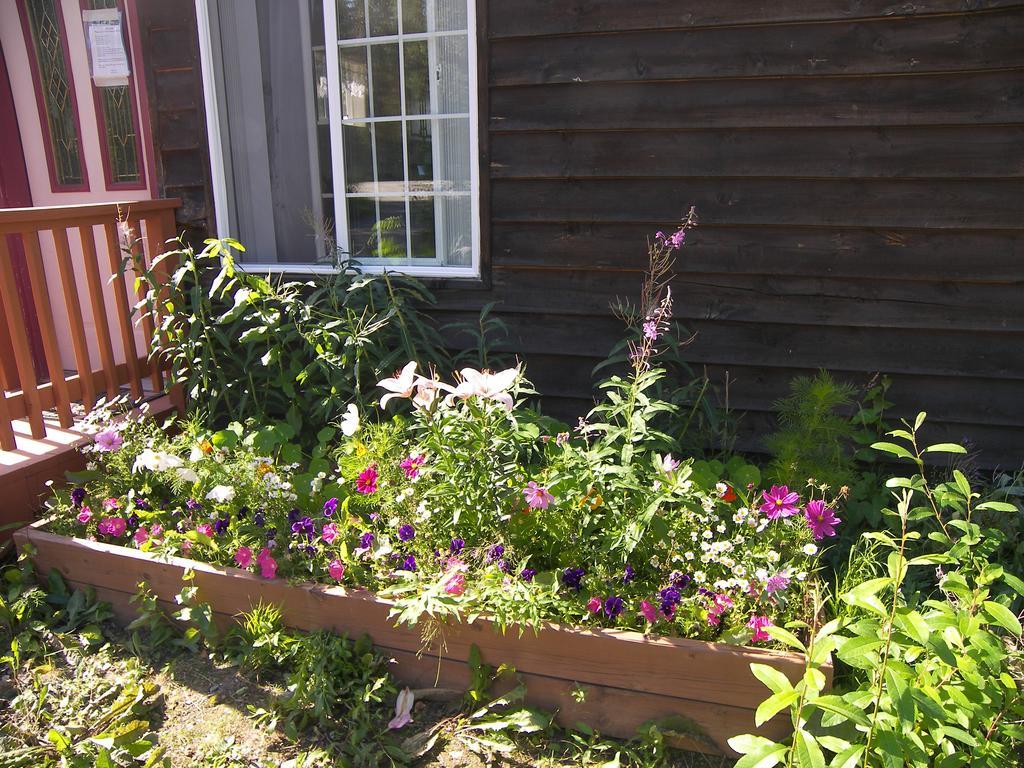Grace And Bill'S Freedom Hills B&B Talkeetna Esterno foto