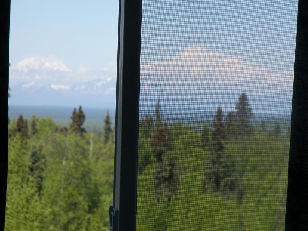 Grace And Bill'S Freedom Hills B&B Talkeetna Esterno foto
