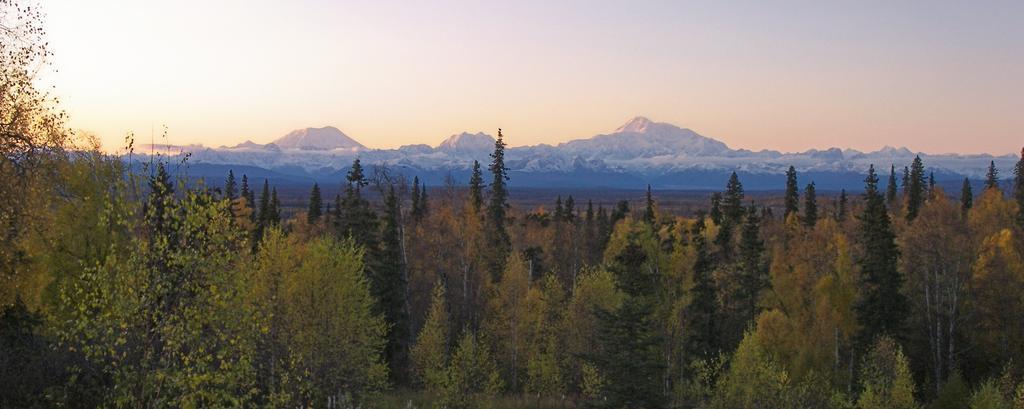 Grace And Bill'S Freedom Hills B&B Talkeetna Esterno foto