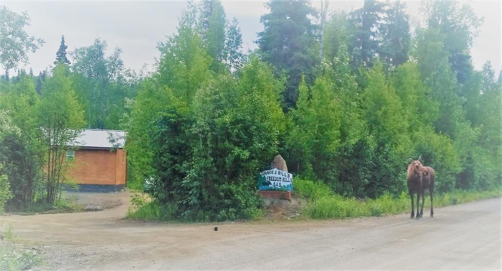Grace And Bill'S Freedom Hills B&B Talkeetna Esterno foto